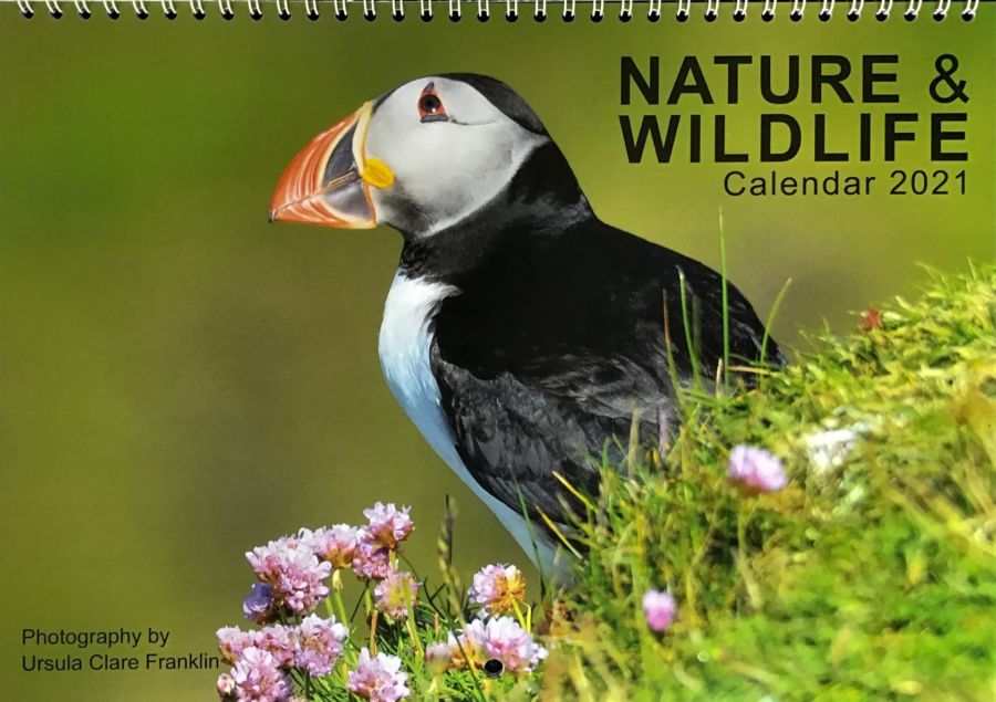 Nature & wildlife calendar 2021 - f4 Inspirational Images