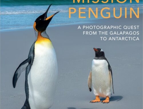 Mission Penguin book now available (a fabulous Christmas present for yourself and others!)